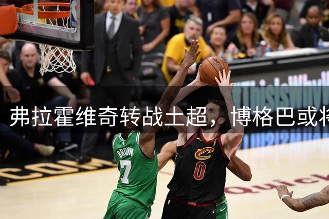 弗拉霍维奇转战土超，博格巴或将恢复自由身
